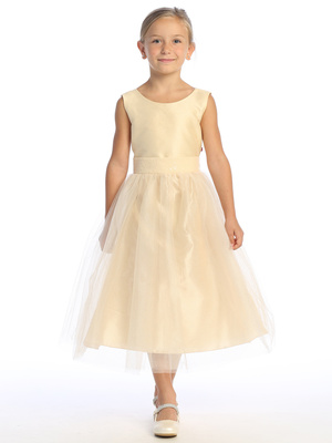 Shantung & Sparkle tulle with sequins V-Back trim